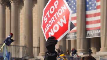person holding red Stop Abortion Now signage