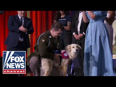 Veteran's Heartwarming Reunion with Beloved Dog After Overseas Service