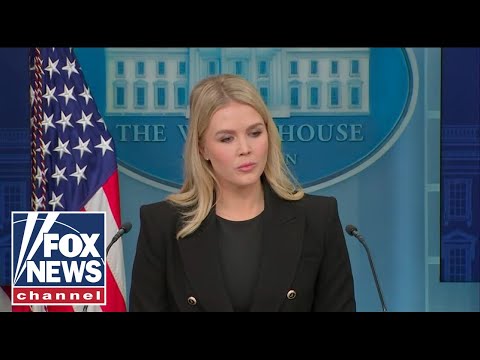 Democrats Unmasked: The Party of Insanity and Hate Revealed - American