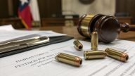 New Jersey Hoisted by Own Evidence in Hollow-Point Ban Fight