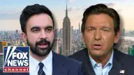 ‘RINSE AND REPEAT’: DeSantis DECRIES Dems as money wasters