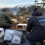 Argentina Traps Rats in Ushuaia to Hunt Cruise Ship Virus