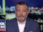 They are trying to LIE and DECEIVE: Sen Ted Cruz