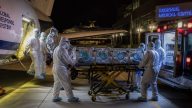 American From MV Hondius Tests Mildly PCR Positive for Andes Virus; 2nd Passenger Ill