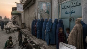 Afghanistan’s Top Dog Thinks He Can Make His Country Prosperous With This One Weird Trick