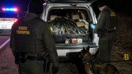 Traffic Stop Reveals 89 Guns Bound for Canada, 3 Men Charged
