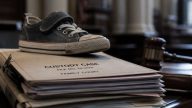 Kyra’s Law Heads to Gov. Kathy Hochul After a Decade of Delay