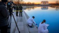 Trump Says Arrests as Reflecting Pool Turns Blue, Scientists Doubt