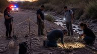 Savannah Guthrie Returns as Volunteers Hunt for Mom's Grave in Mexico