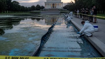 Trump Demands Years in Jail as Reflecting Pool Claims Remain Unproven