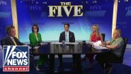 'The Five': California CAT FIGHT...