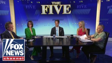 'The Five': California CAT FIGHT...