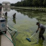 CNN’s Algae Photos, No Lab Tests — Questions Over $14.2M Trump Pool