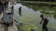 CNN’s Algae Photos, No Lab Tests — Questions Over $14.2M Trump Pool