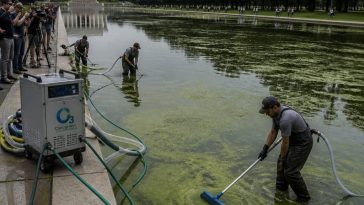 CNN’s Algae Photos, No Lab Tests — Questions Over $14.2M Trump Pool