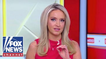 McEnany: We learn more DESPICABLE things every day