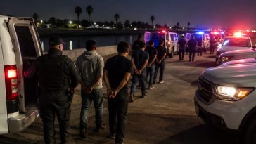 Harlingen ICE Scores 238 Arrests in One Day as Trump Orders Stops