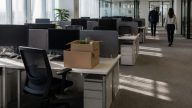 Unemployment 4.2% Looks Good on Paper — Workforce Is Shrinking