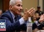 Watters: Fauci knew he BLEW IT