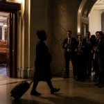 Speaker Mike Johnson Floats Birth Tourism Vote to Appease Hardliners