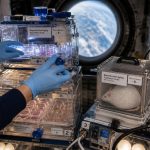 Tiangong Tests Force Choice: Pioneers or Couch Potatoes