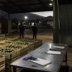 U.S. Embassy Halts Michoacán Ops After Reported Cartel Bounty