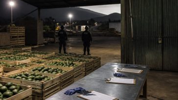 U.S. Embassy Halts Michoacán Ops After Reported Cartel Bounty