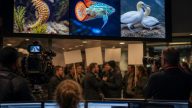 Elliot Page's quaint little myth line ignites conservative fury