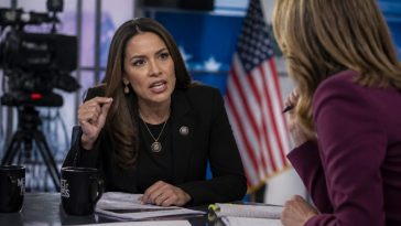 Lieutenant Governor Peggy Flanagan Doubles Down on Rip Apart ICE