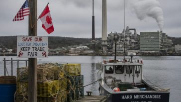 Rep. Jared Golden Backs Trump Tariffs; Sen. Susan Collins Urges Talks