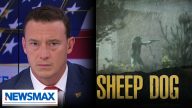‘More people are alive today because he had that gun’: Higbie on Idaho hero firing back at shooter