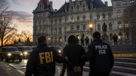 FBI Thwarts Albany ISIS Plot — Suspect Charged, Lawmakers Warned