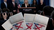 175K Visas Revoked Under Trump, Rubio Says Lawbreakers Out