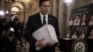 Rep. Al Green Files Impeachment Over ICE Deaths Seen as Theater