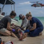 Nurse Shark Nearly Kills Florida Man — Off‑Duty Medics Saved Him