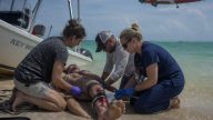 Nurse Shark Nearly Kills Florida Man — Off‑Duty Medics Saved Him