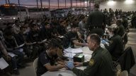 ICE Tops 49,571 July Arrests as Detention System Strains