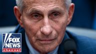 BREAKING: New Fauci documents revealed