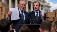 Bipartisan Senators Demand FTC Probe of Amazon and Walmart Chatbots