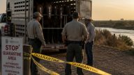 Smuggled Horses Threaten Screwworm Return Across US Border