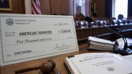 Mike Johnson: Trump’s $5K Checks Need Congress, Not Promises