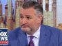 Ted Cruz SOUNDS ALARM on crucial race: This will 'LEAVE BRUISES'