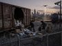 Cargo Theft Explodes in Chicago Railyards, Johnson Blamed