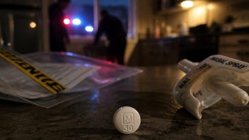 Hayden Panettiere May Have Died From One Fentanyl-Laced Pill