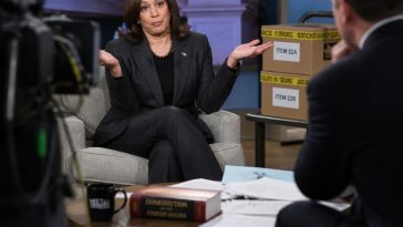 Rep. Ilhan Omar's Shrug Reopens Brother-Marriage Scandal