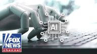 ‘SCARE TACTIC’: NYC councilwoman SLAMS Dems’ AI rhetoric