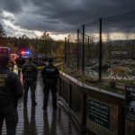 Man Killed After Breaching Tiger Enclosure, Park Refuses to Kill Altai