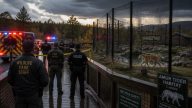 Man Killed After Breaching Tiger Enclosure, Park Refuses to Kill Altai