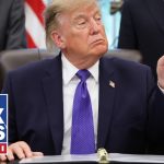 Watters: Trump is doing surgery on America