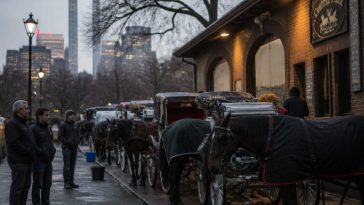 Mamdani-Menin carriage ban leaves 160 horses, owners high and dry